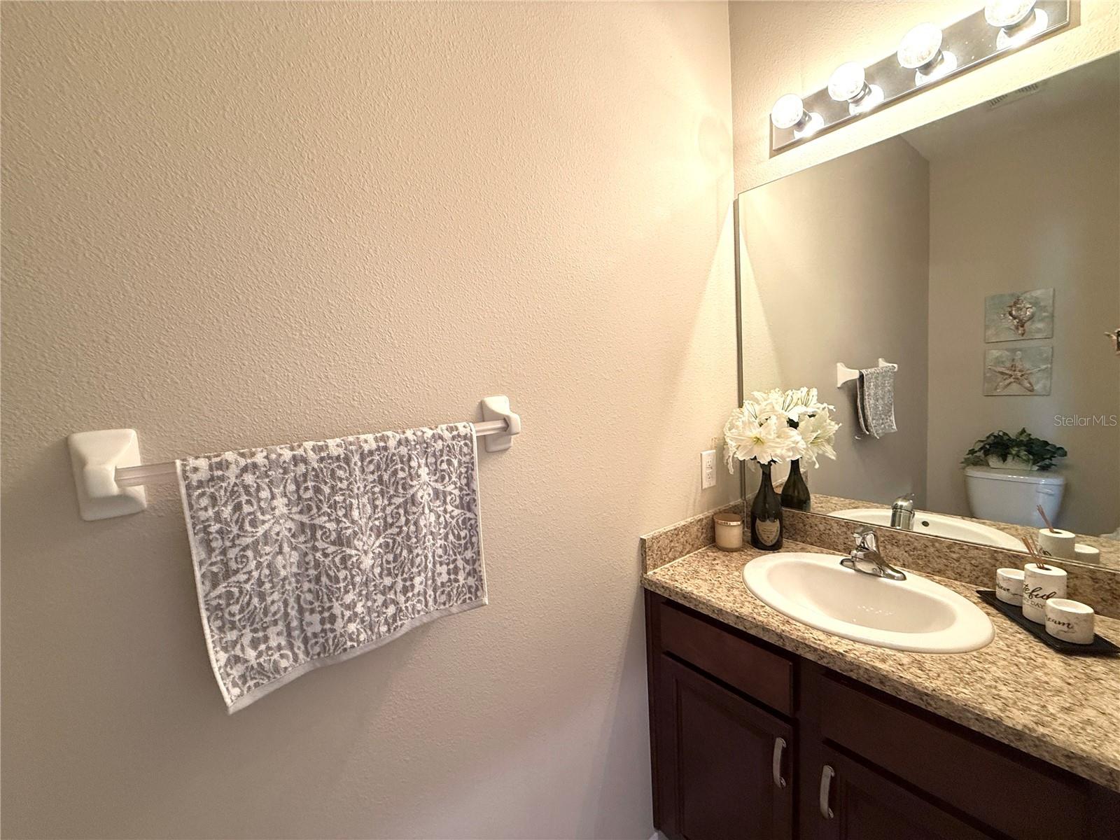 10415 BUTTERFLY WING CT, RIVERVIEW, FL, 33578