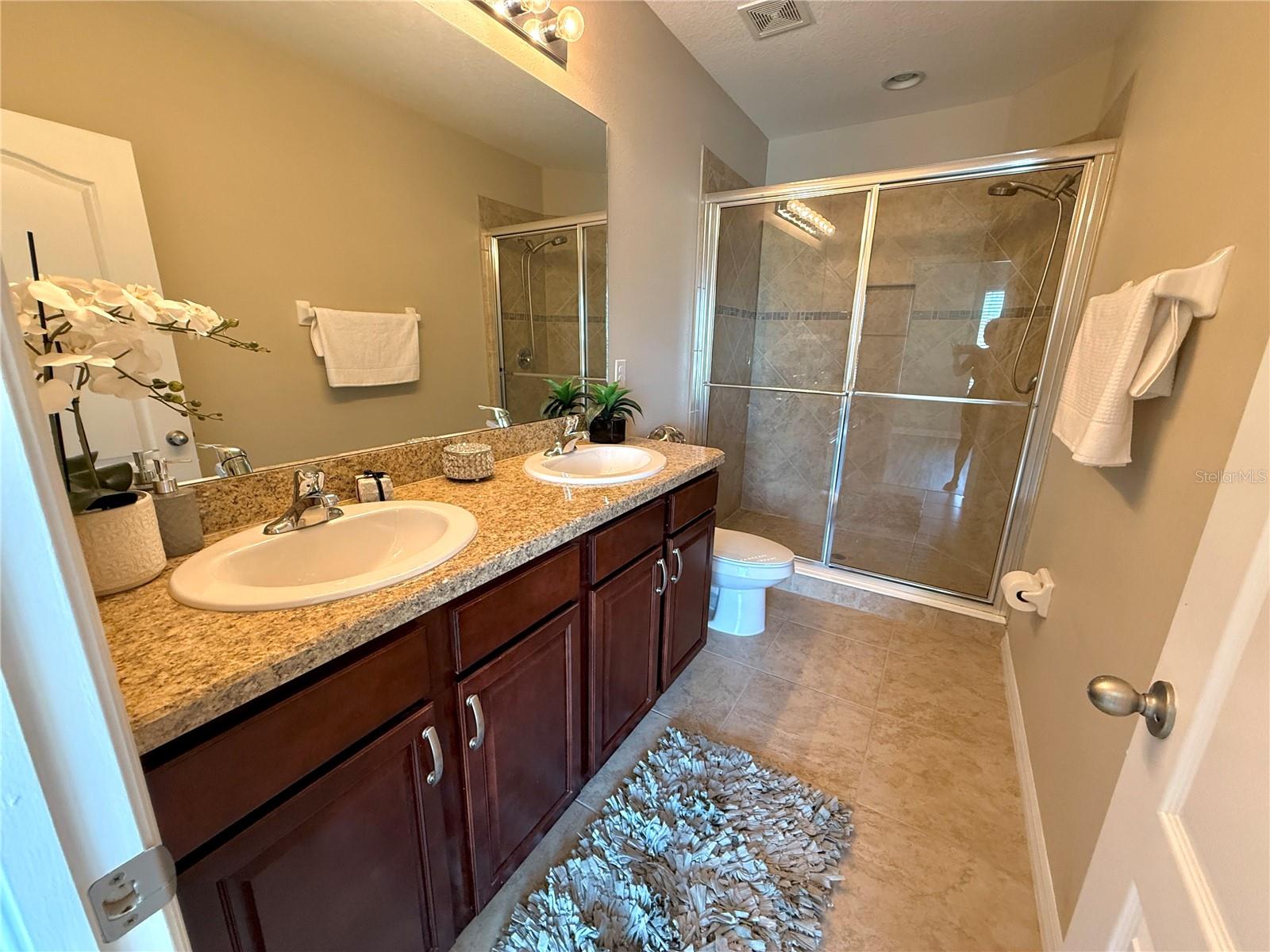 10415 BUTTERFLY WING CT, RIVERVIEW, FL, 33578