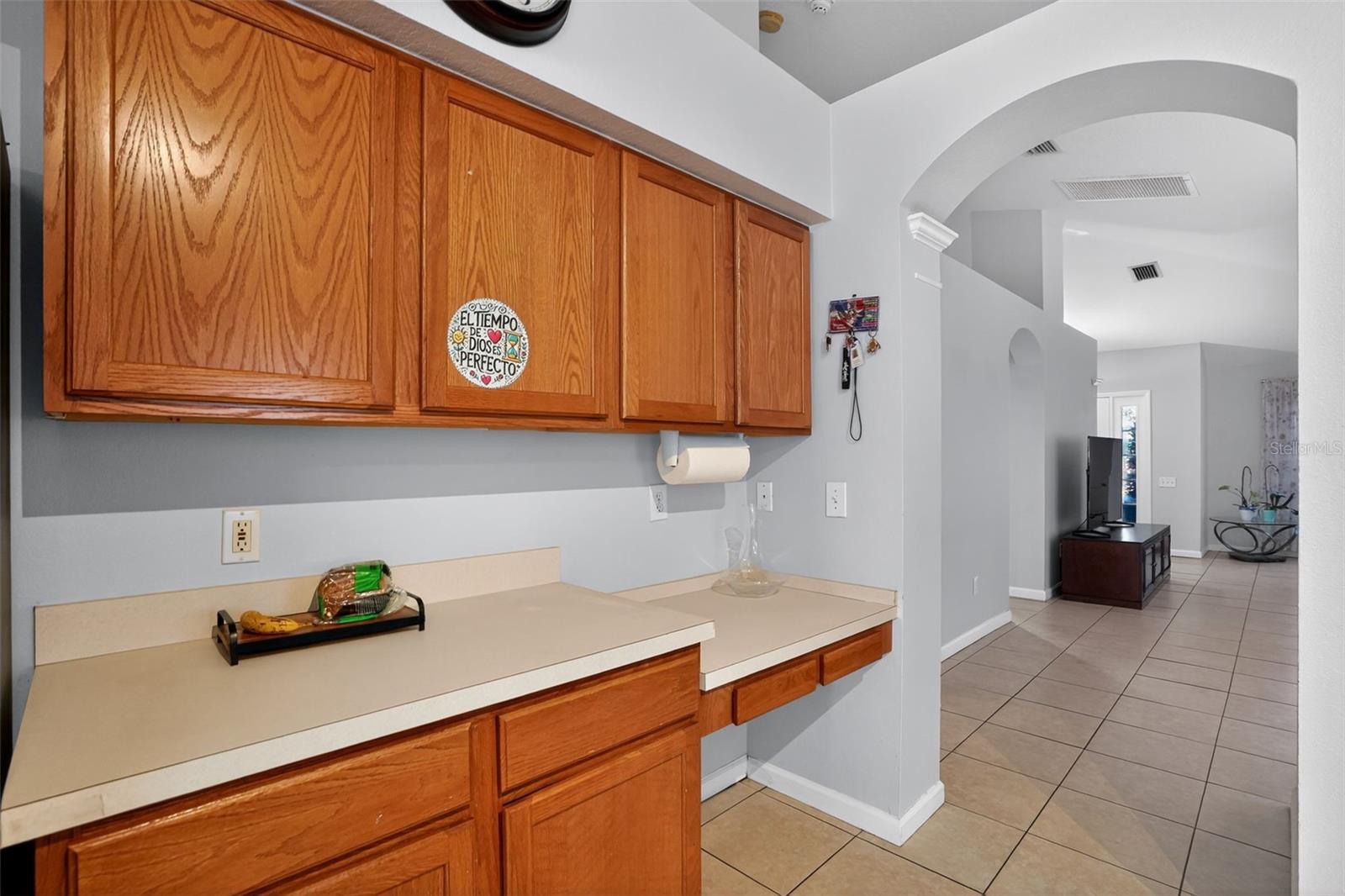 11519 MISTY ISLE LN, RIVERVIEW, FL, 33579
