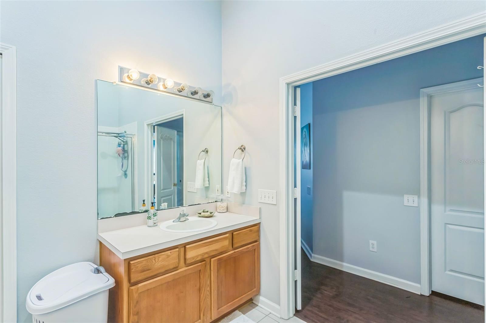 11519 MISTY ISLE LN, RIVERVIEW, FL, 33579