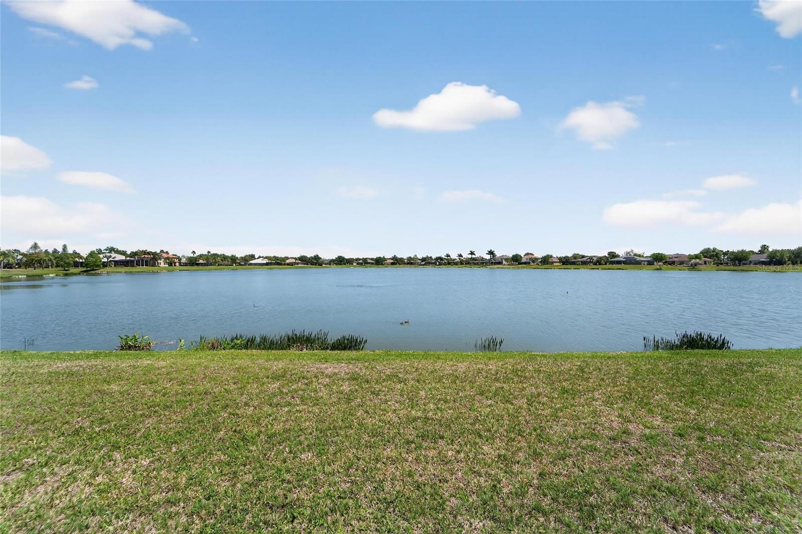 5325 SANDY SHELL DR, APOLLO BEACH, FL, 33572