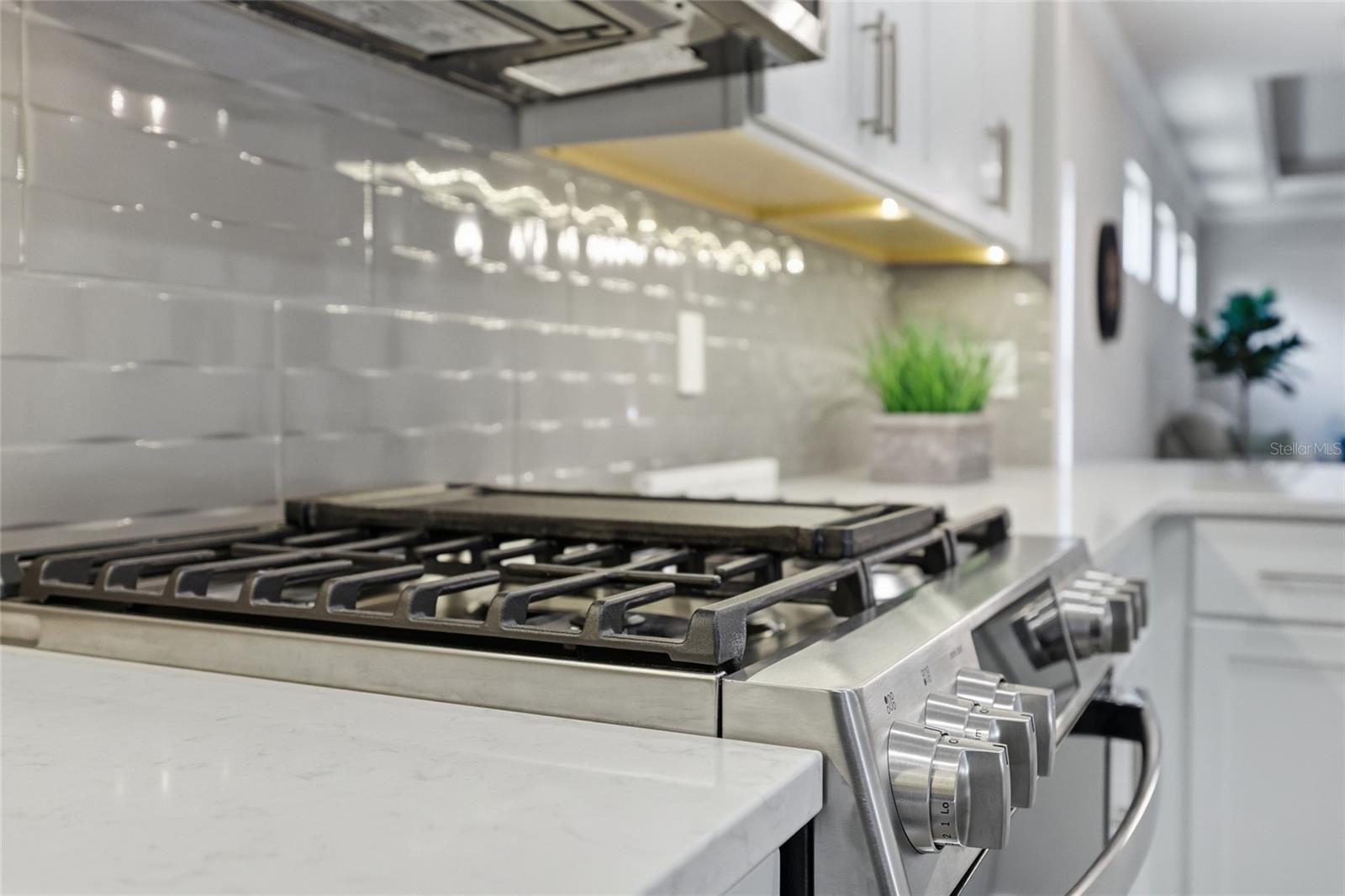 9541 NW 66TH LN, GAINESVILLE, FL, 32608