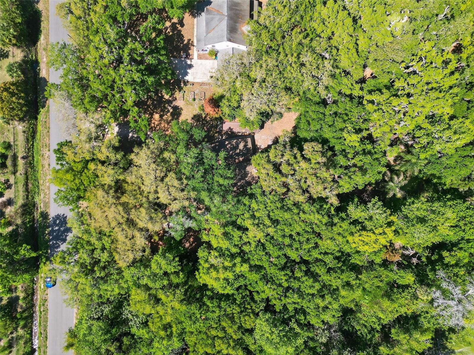 3380 LIONEL RD, MIMS, FL, 32754