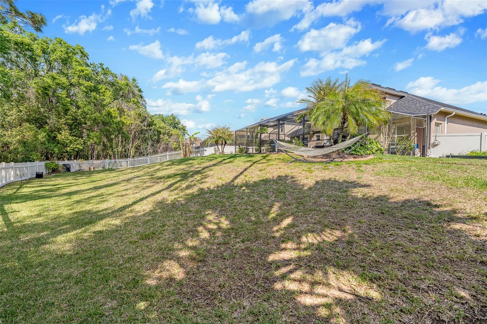 3247 DIAMOND FALLS CIR, LAND O LAKES, FL, 34638