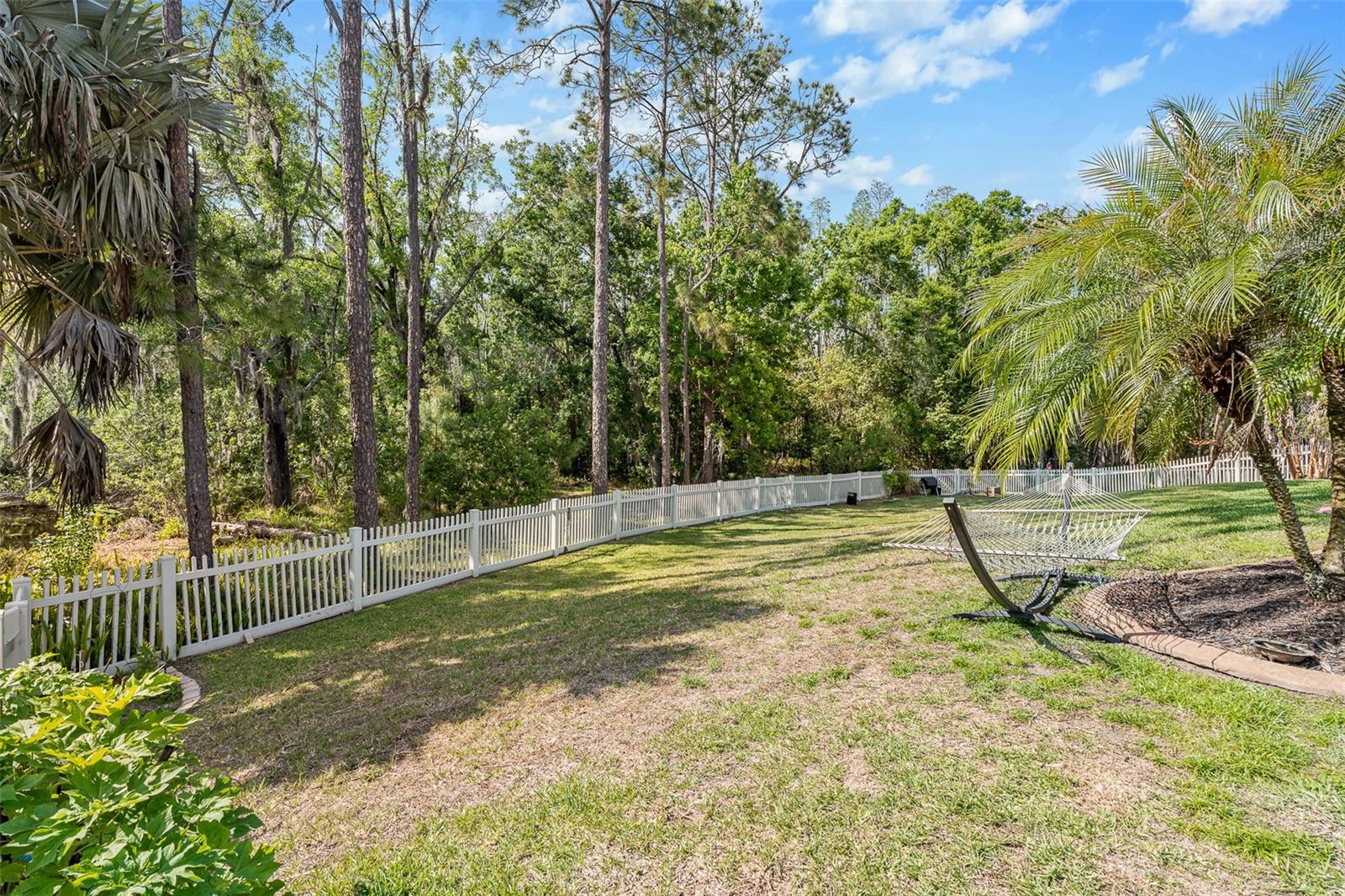 3247 DIAMOND FALLS CIR, LAND O LAKES, FL, 34638