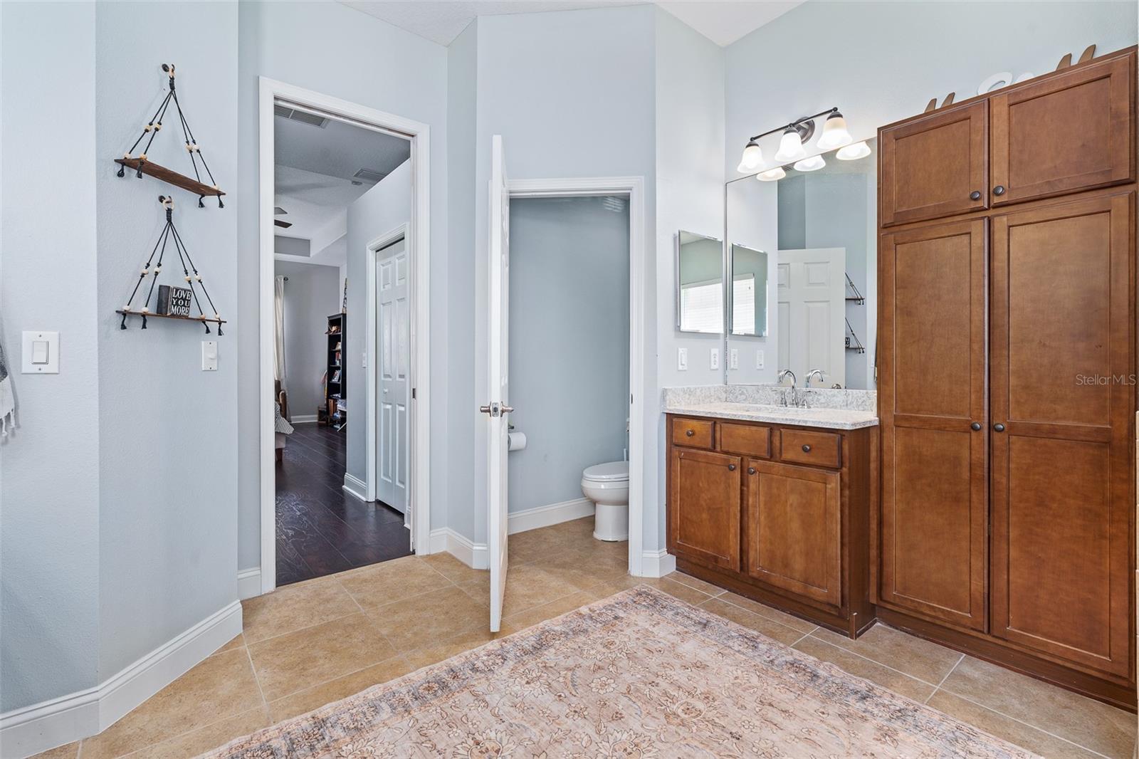 3247 DIAMOND FALLS CIR, LAND O LAKES, FL, 34638