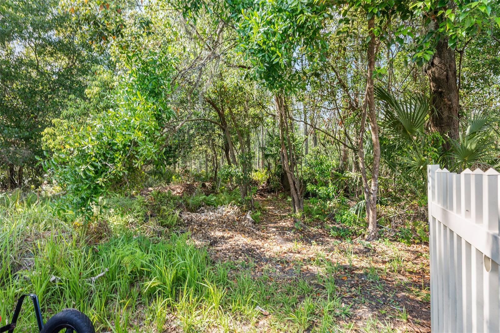 3247 DIAMOND FALLS CIR, LAND O LAKES, FL, 34638