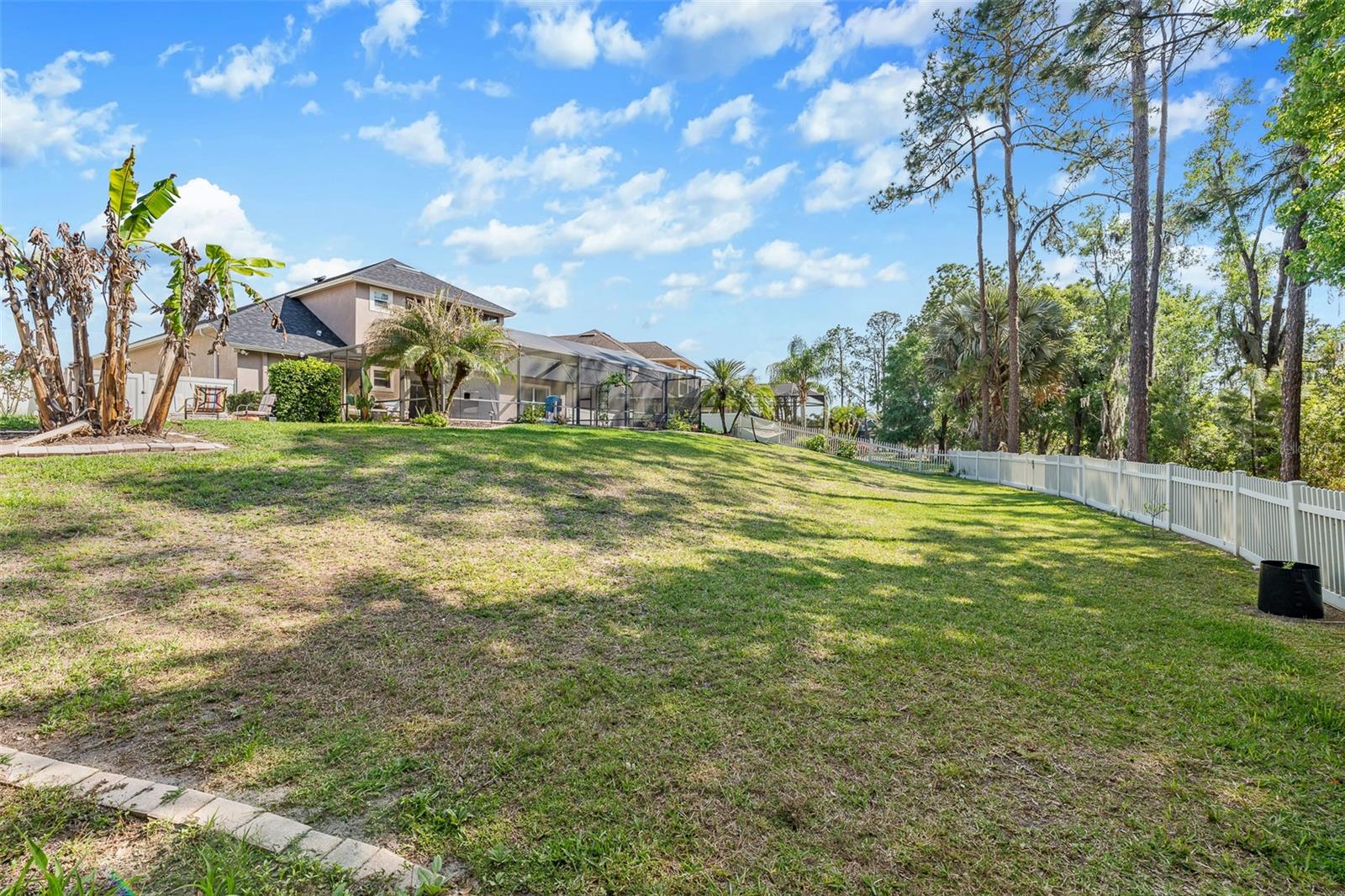3247 DIAMOND FALLS CIR, LAND O LAKES, FL, 34638