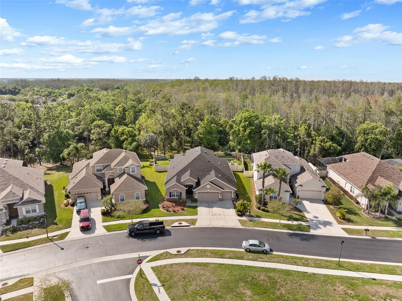 3247 DIAMOND FALLS CIR, LAND O LAKES, FL, 34638