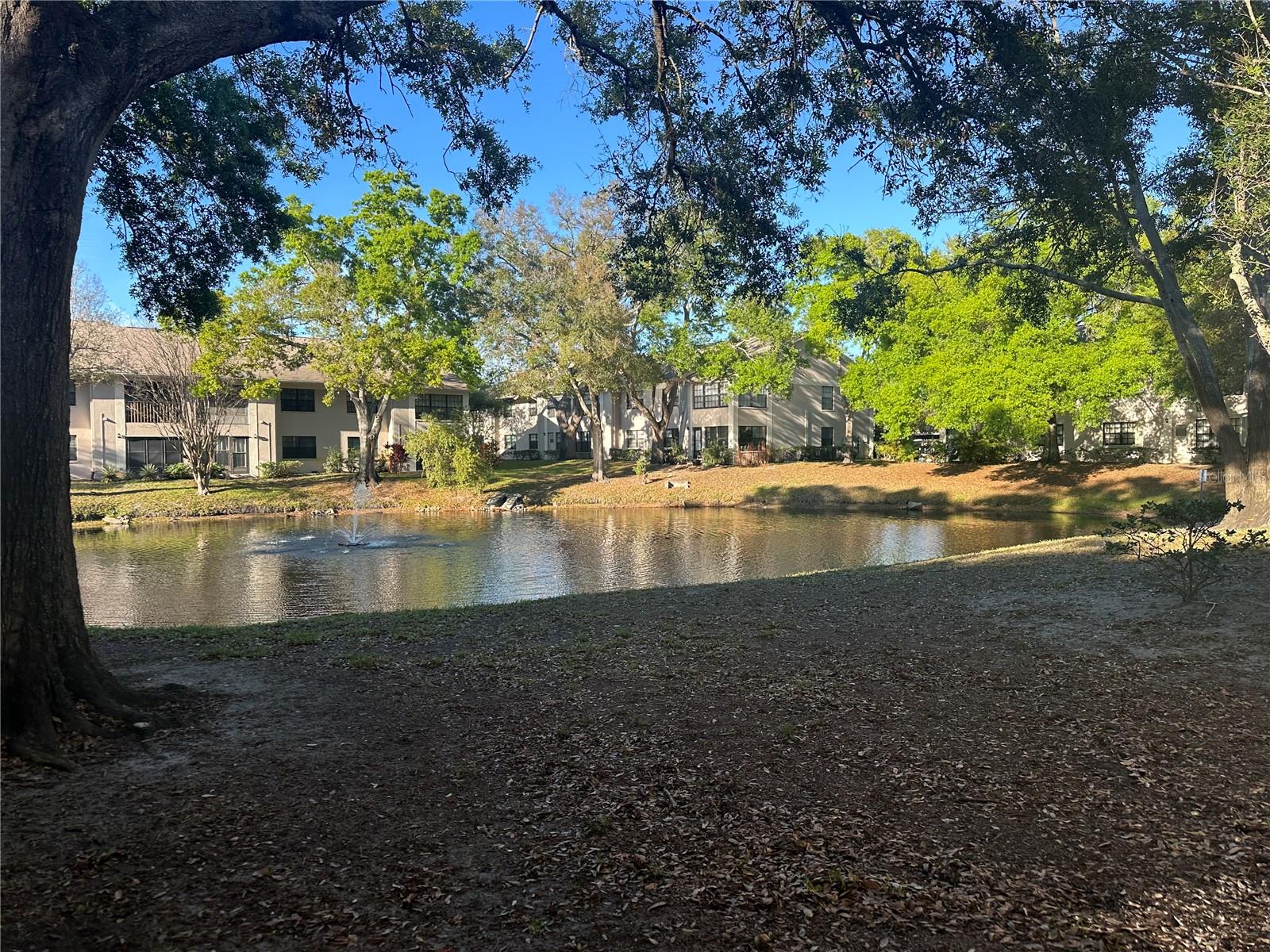 2130 ELM ST #401, DUNEDIN, FL, 34698