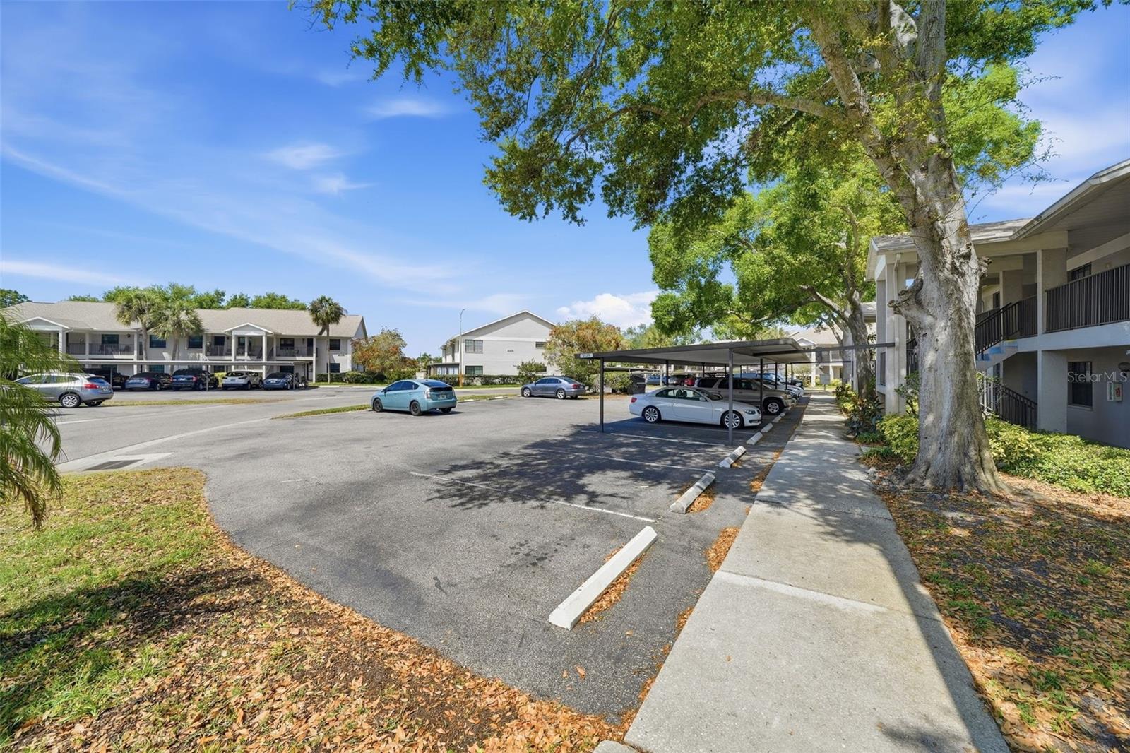 2130 ELM ST #401, DUNEDIN, FL, 34698
