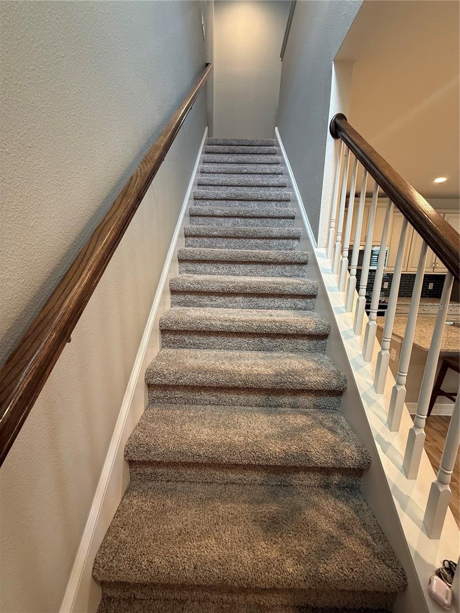 3237 PAINTED BLOSSOM CT, LUTZ, FL, 33558