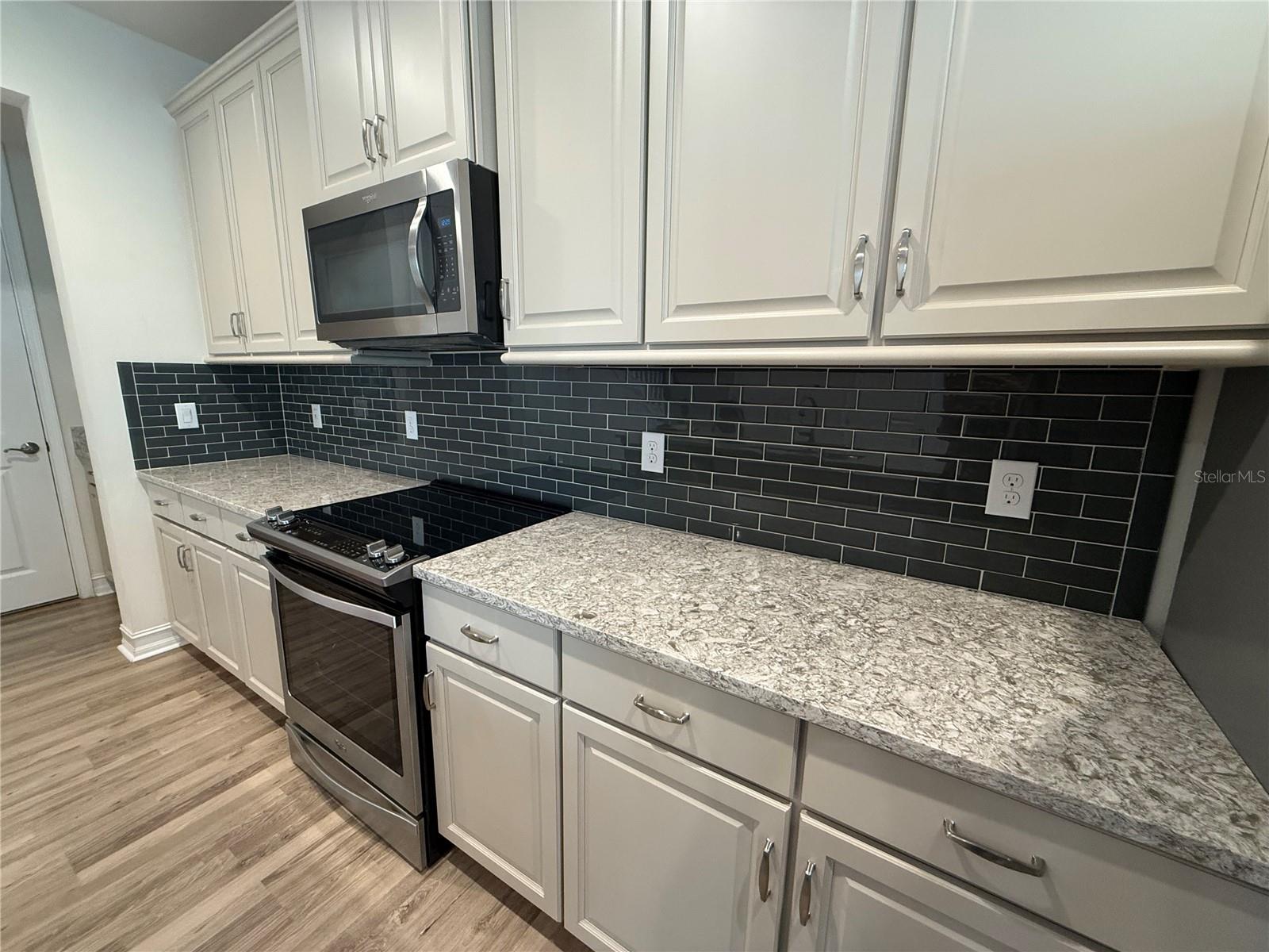 3237 PAINTED BLOSSOM CT, LUTZ, FL, 33558