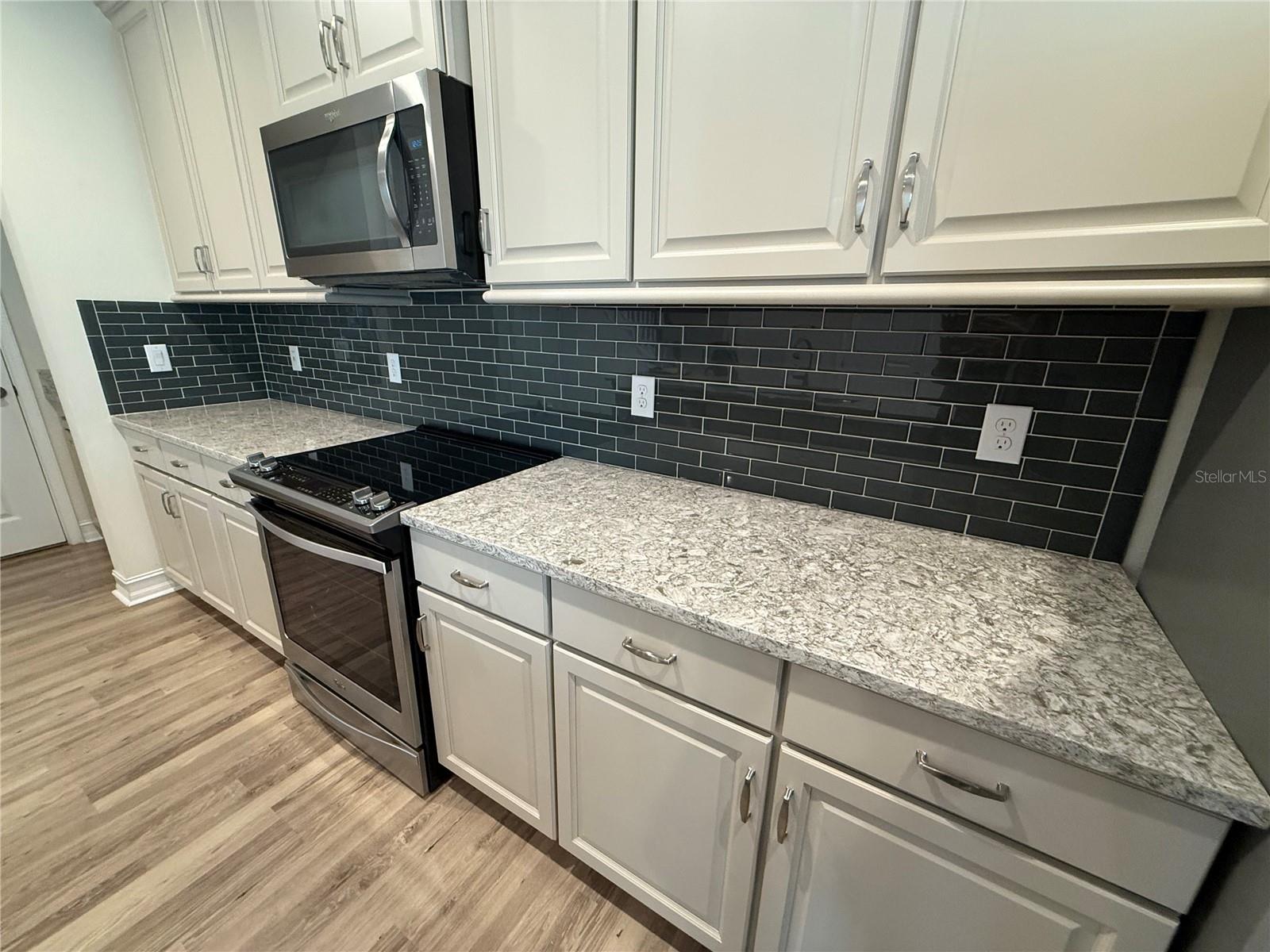 3237 PAINTED BLOSSOM CT, LUTZ, FL, 33558