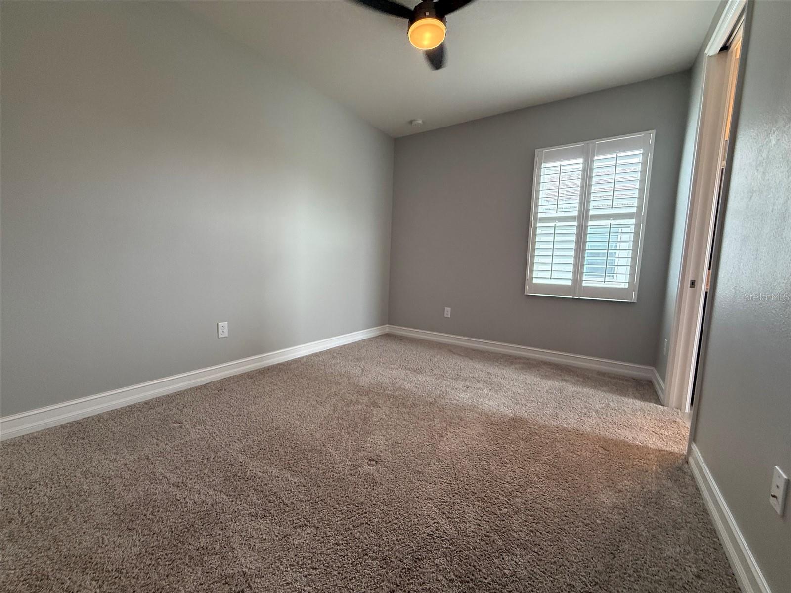 3237 PAINTED BLOSSOM CT, LUTZ, FL, 33558