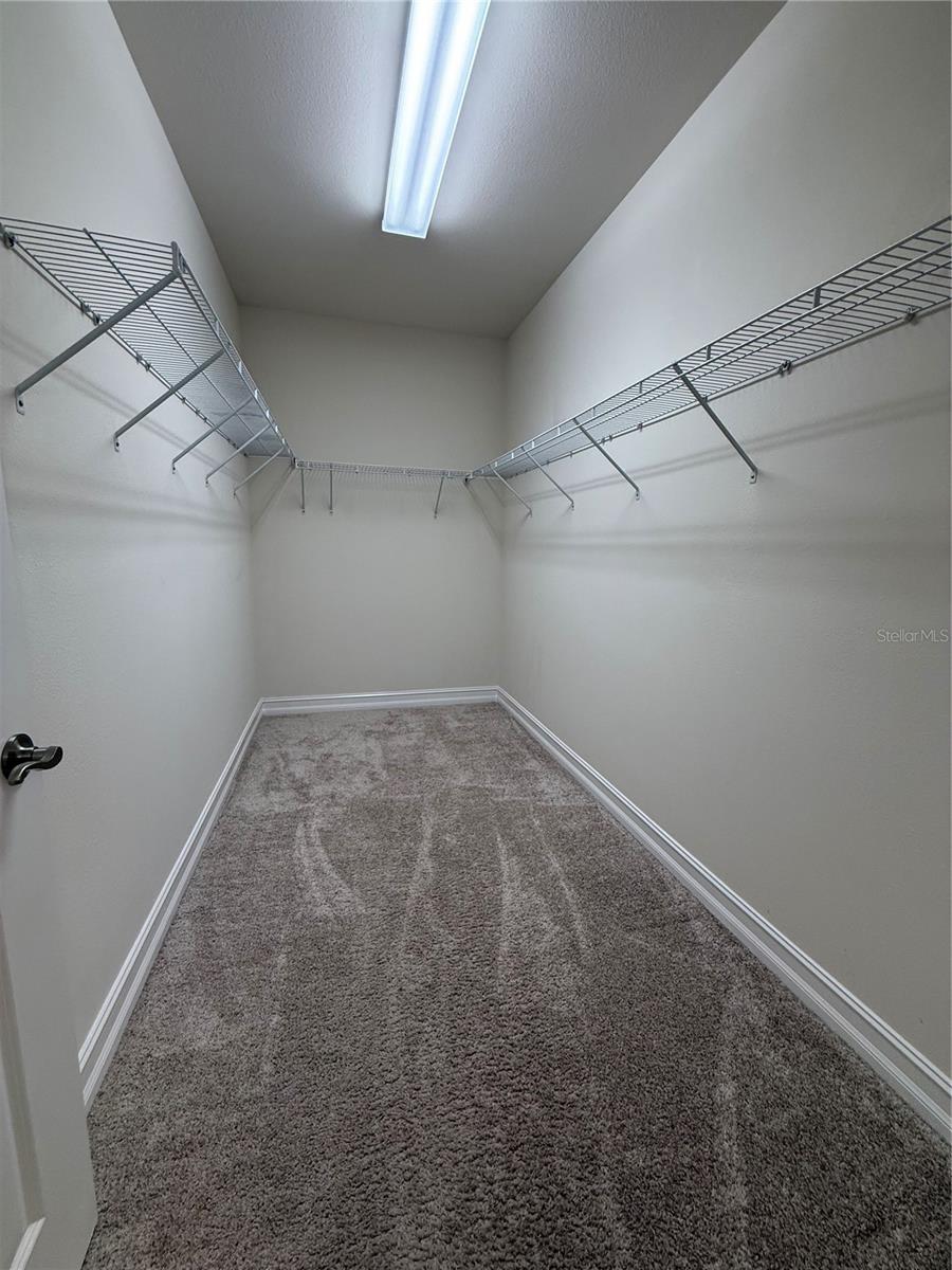 3237 PAINTED BLOSSOM CT, LUTZ, FL, 33558