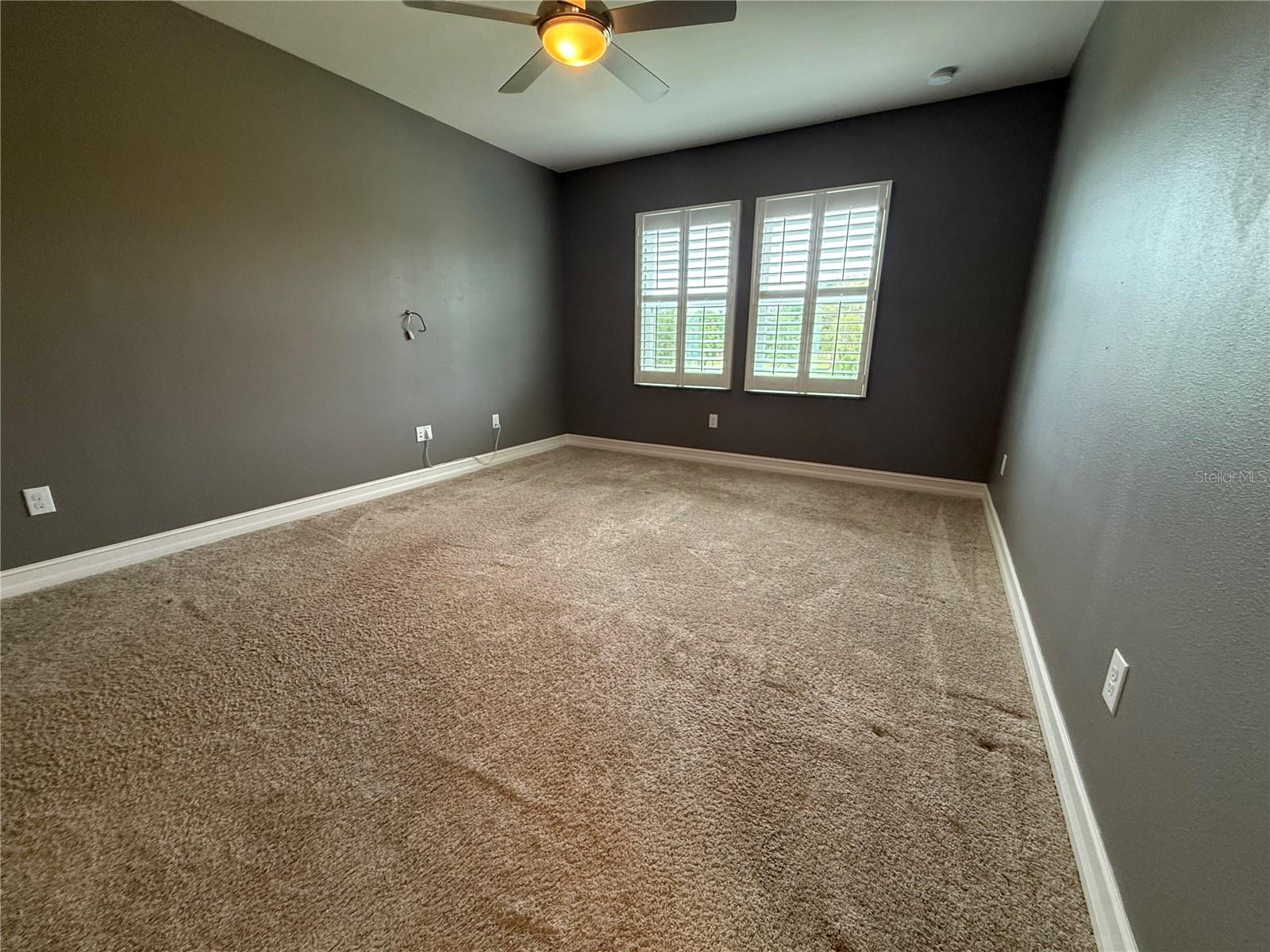 3237 PAINTED BLOSSOM CT, LUTZ, FL, 33558