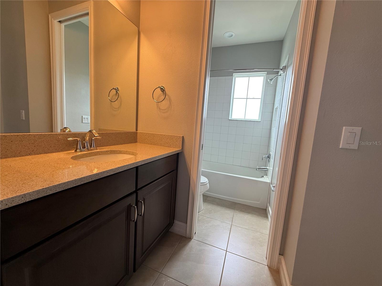 3237 PAINTED BLOSSOM CT, LUTZ, FL, 33558