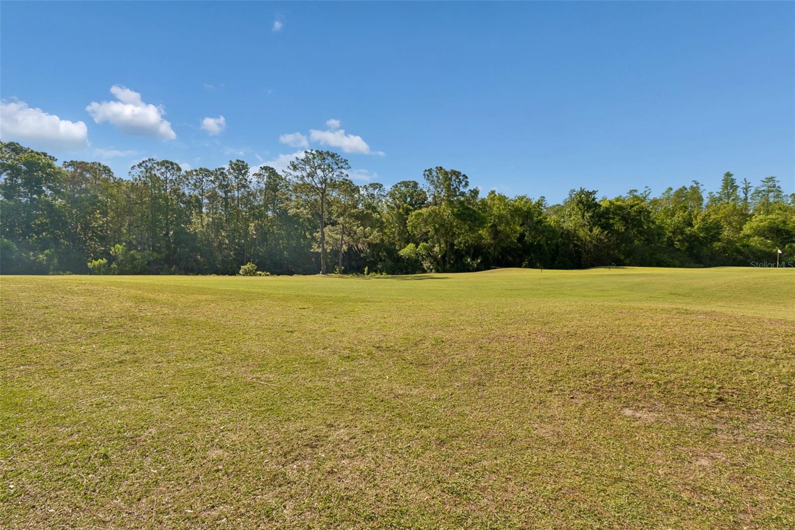 10423 GREENHEDGES DR, TAMPA, FL, 33626