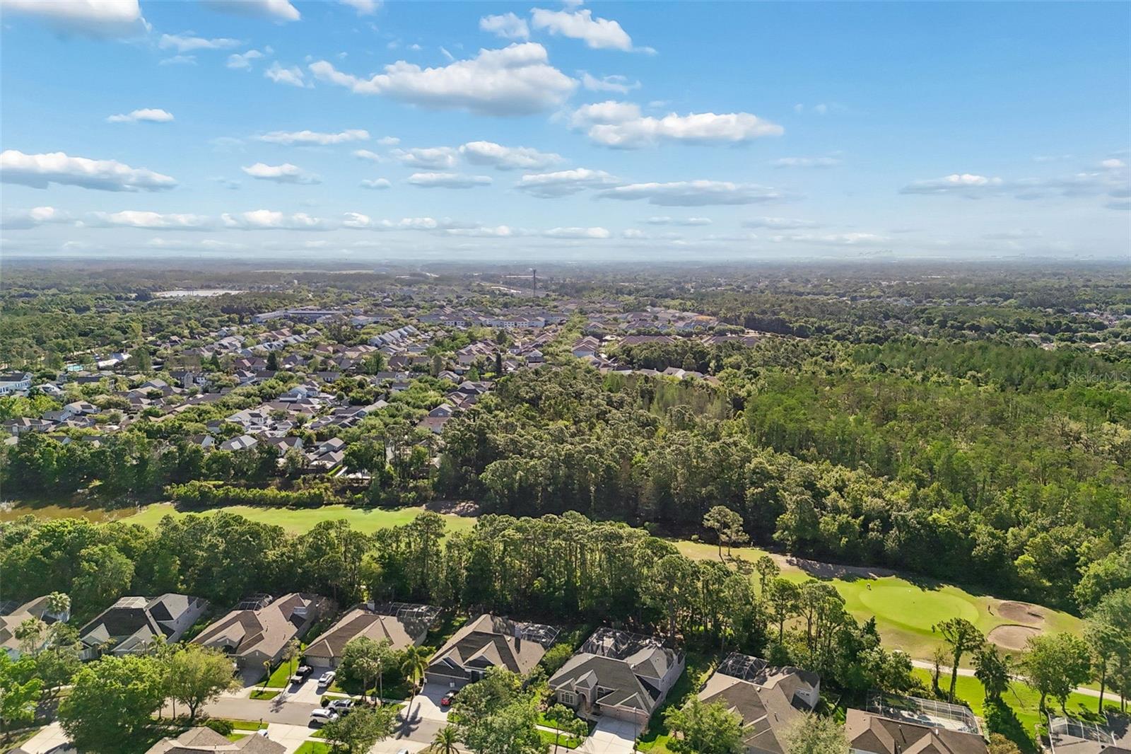 10423 GREENHEDGES DR, TAMPA, FL, 33626