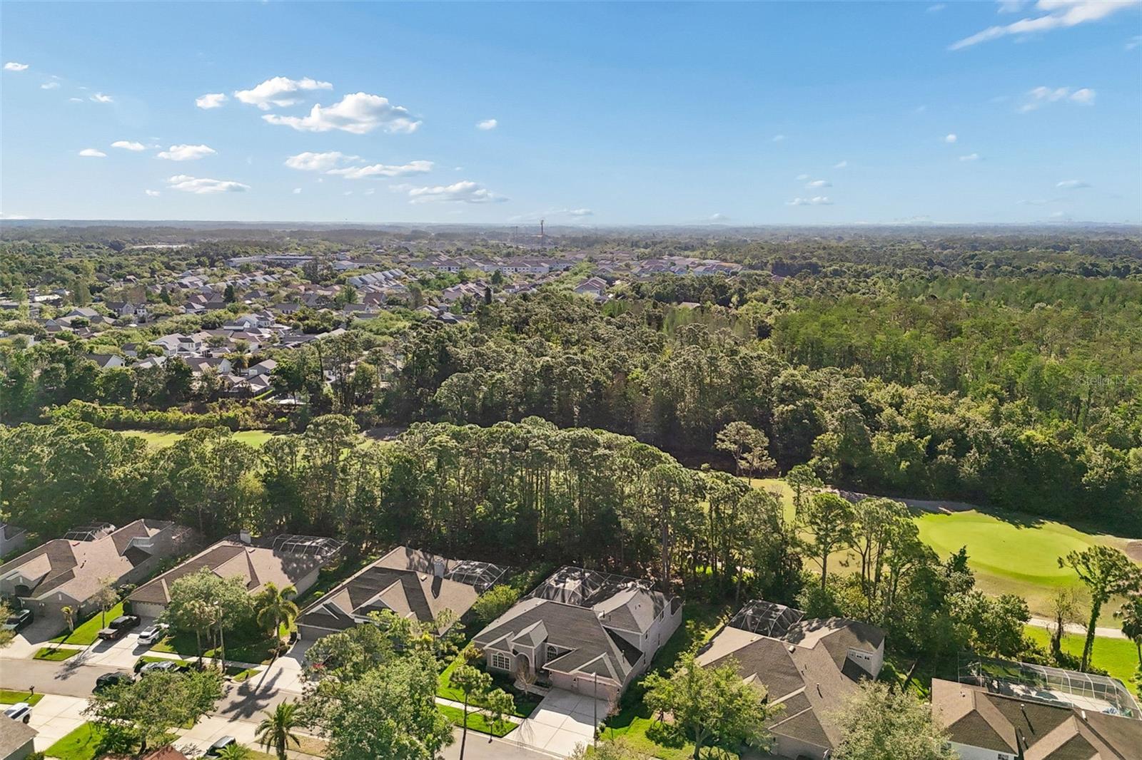 10423 GREENHEDGES DR, TAMPA, FL, 33626