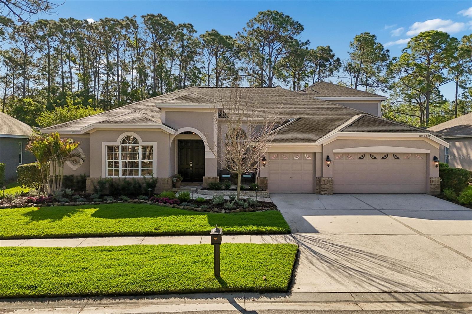 10423 GREENHEDGES DR, TAMPA, FL, 33626