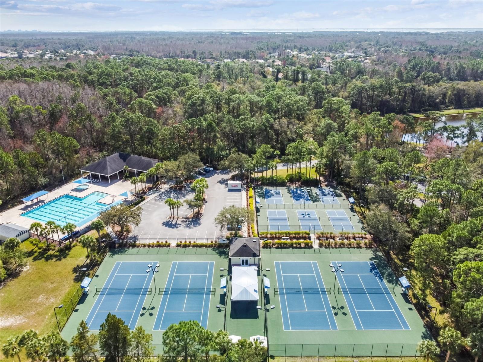 10423 GREENHEDGES DR, TAMPA, FL, 33626