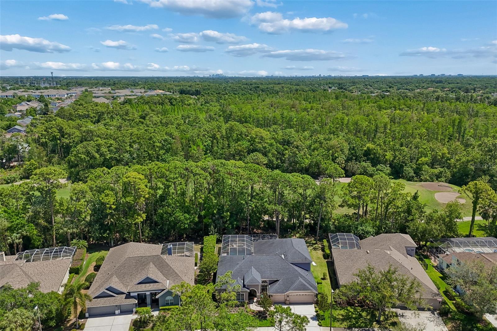 10423 GREENHEDGES DR, TAMPA, FL, 33626