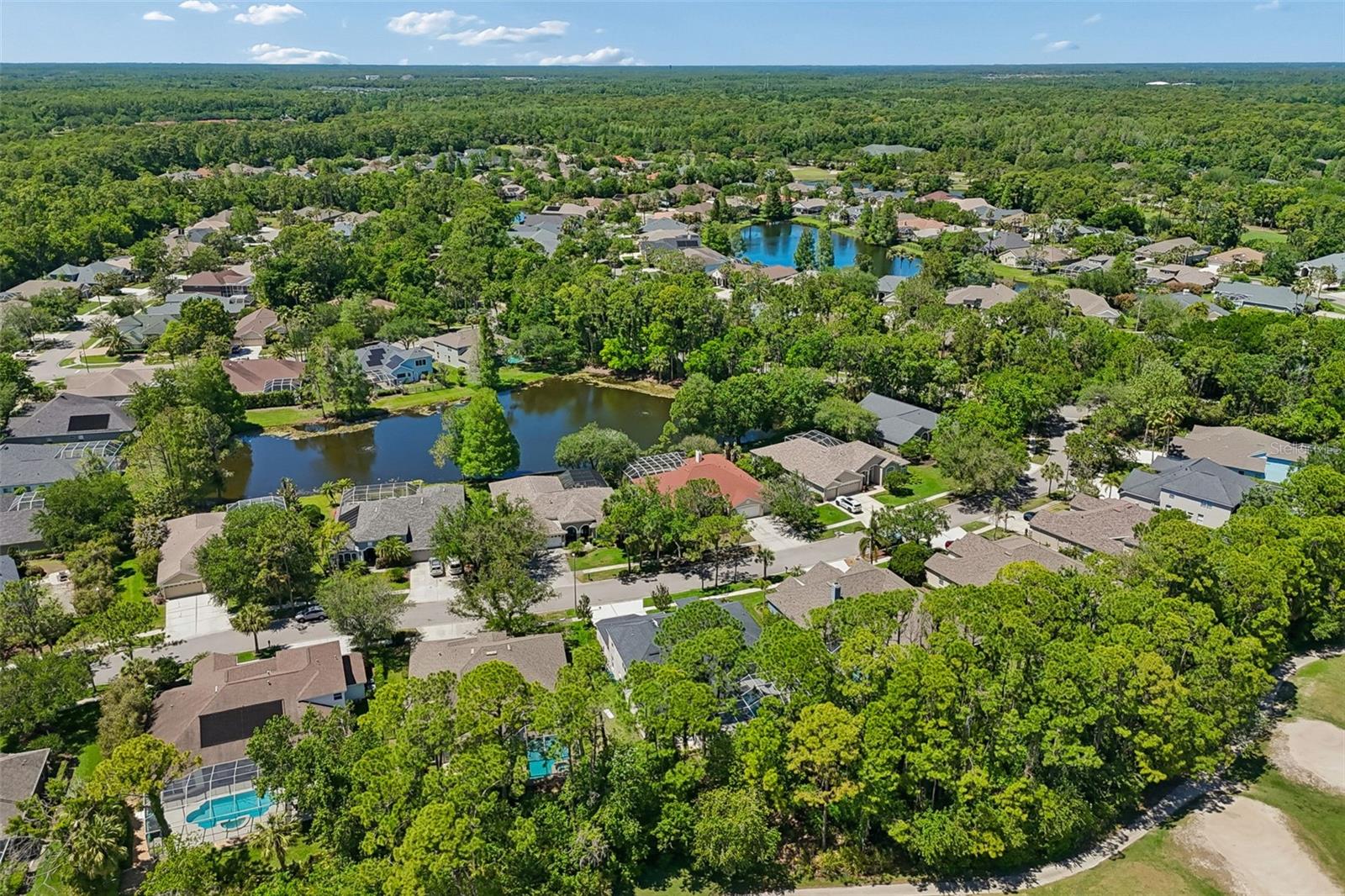 10423 GREENHEDGES DR, TAMPA, FL, 33626