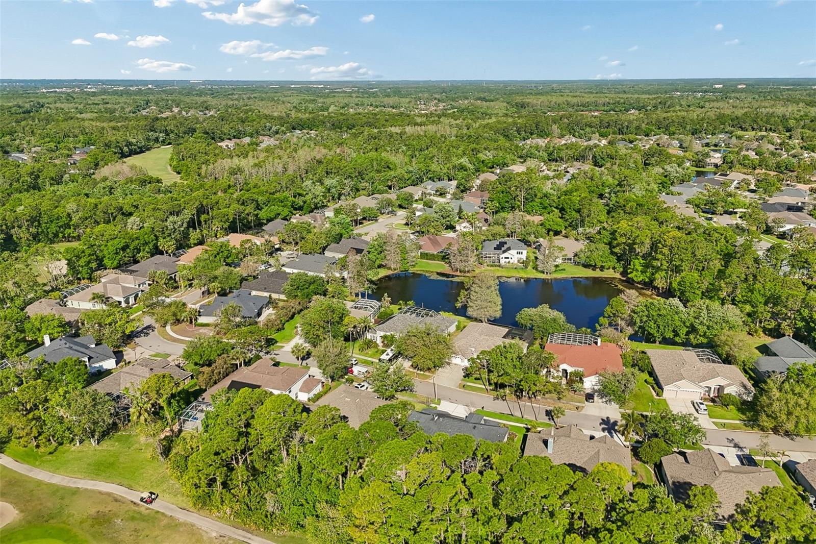 10423 GREENHEDGES DR, TAMPA, FL, 33626