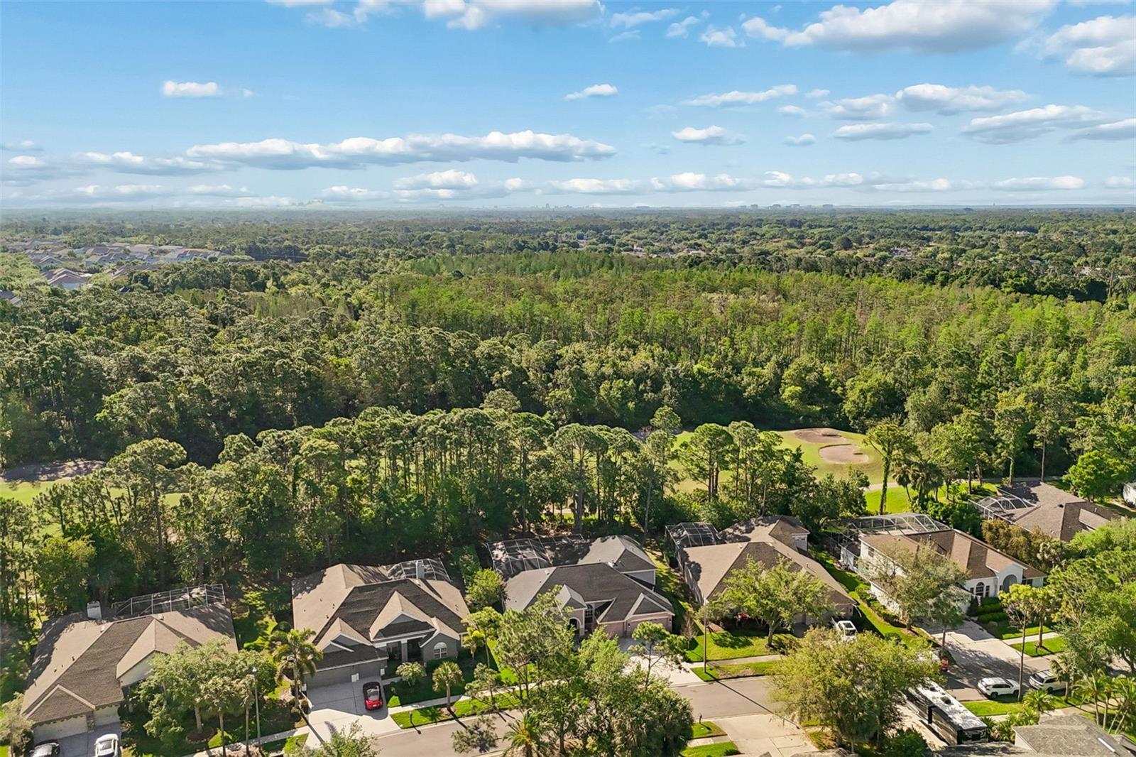 10423 GREENHEDGES DR, TAMPA, FL, 33626