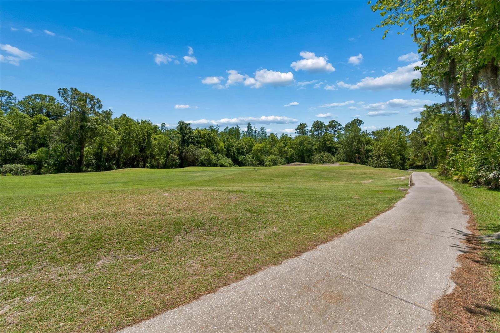 10423 GREENHEDGES DR, TAMPA, FL, 33626