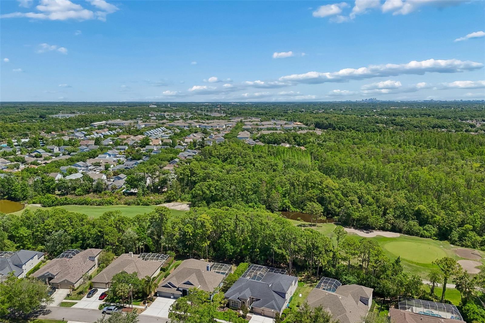 10423 GREENHEDGES DR, TAMPA, FL, 33626