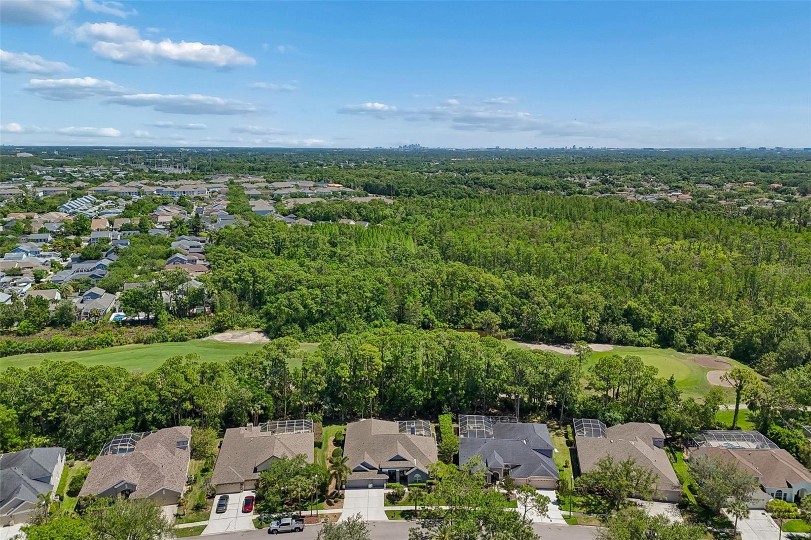 10423 GREENHEDGES DR, TAMPA, FL, 33626