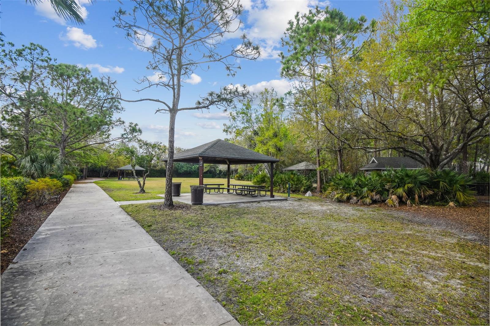 10423 GREENHEDGES DR, TAMPA, FL, 33626