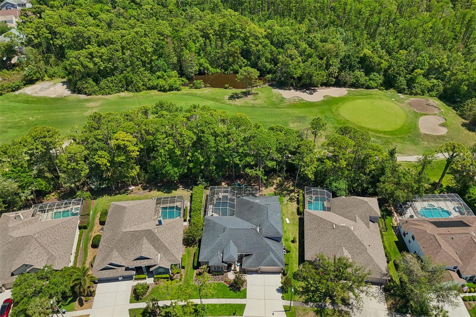 10423 GREENHEDGES DR, TAMPA, FL, 33626