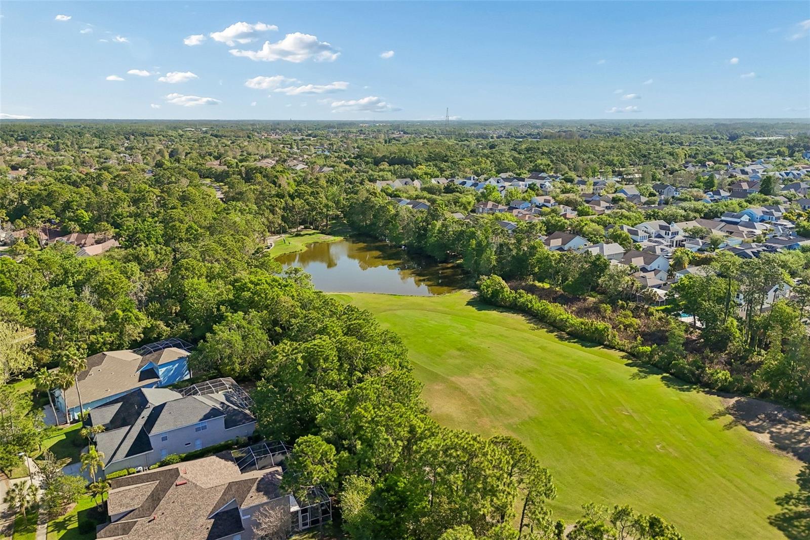 10423 GREENHEDGES DR, TAMPA, FL, 33626