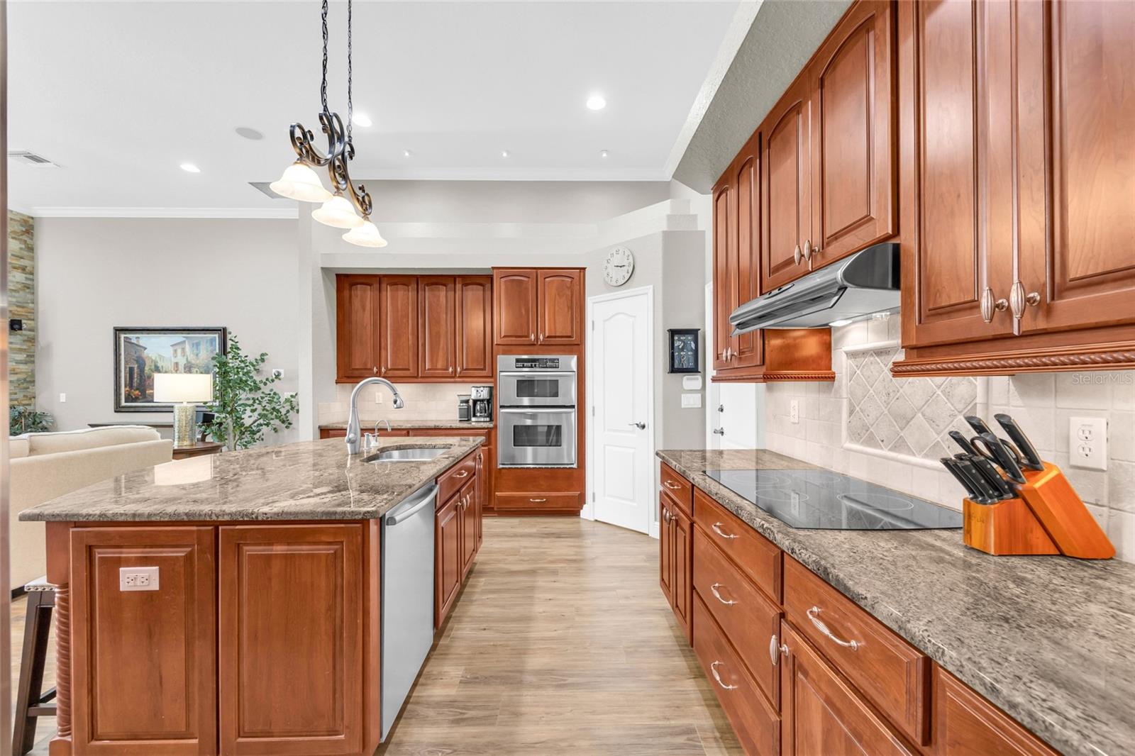 8738 GREAT COVE DR, ORLANDO, FL, 32819