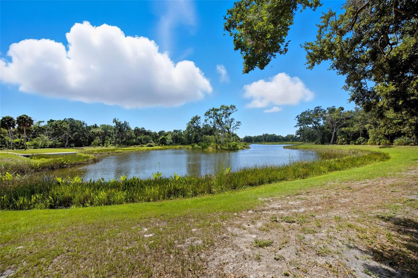6236 S MARTINDALE AVE, TAMPA, FL, 33611
