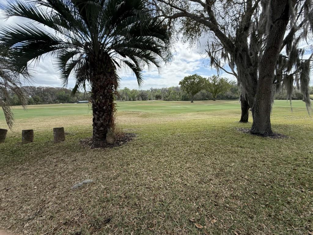 26812 BELLA VISTA DR, HOWEY IN THE HILLS, FL, 34737
