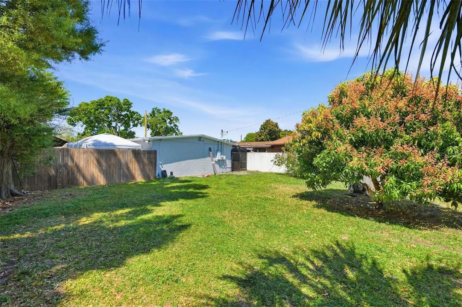 6401 N HALE AVE, TAMPA, FL, 33614