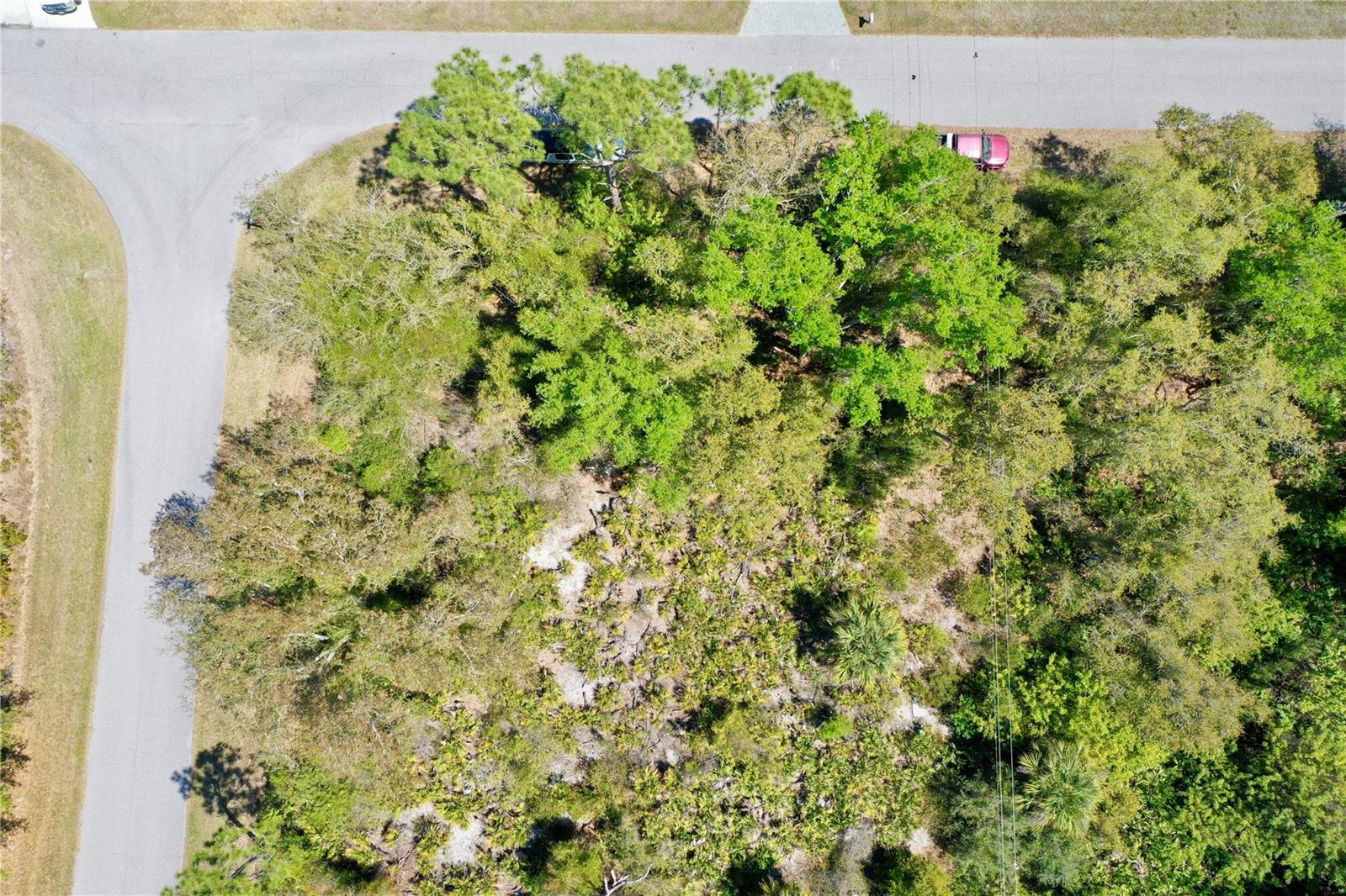 12193 NOEL AVE, PORT CHARLOTTE, FL, 33981