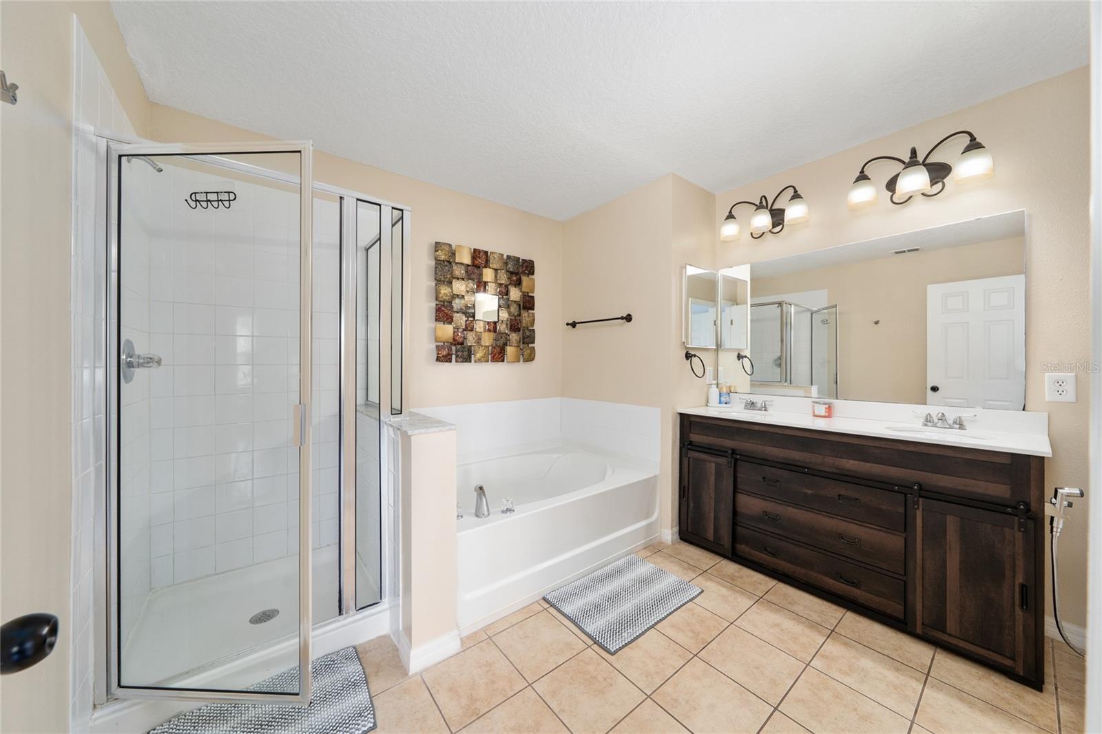 3008 SEAVIEW CASTLE DR, KISSIMMEE, FL, 34746