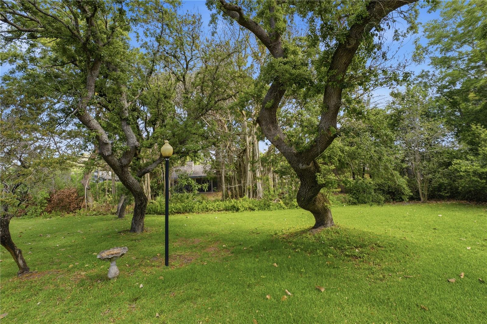 7141 WOODED VILLAGE LN, ORLANDO, FL, 32835