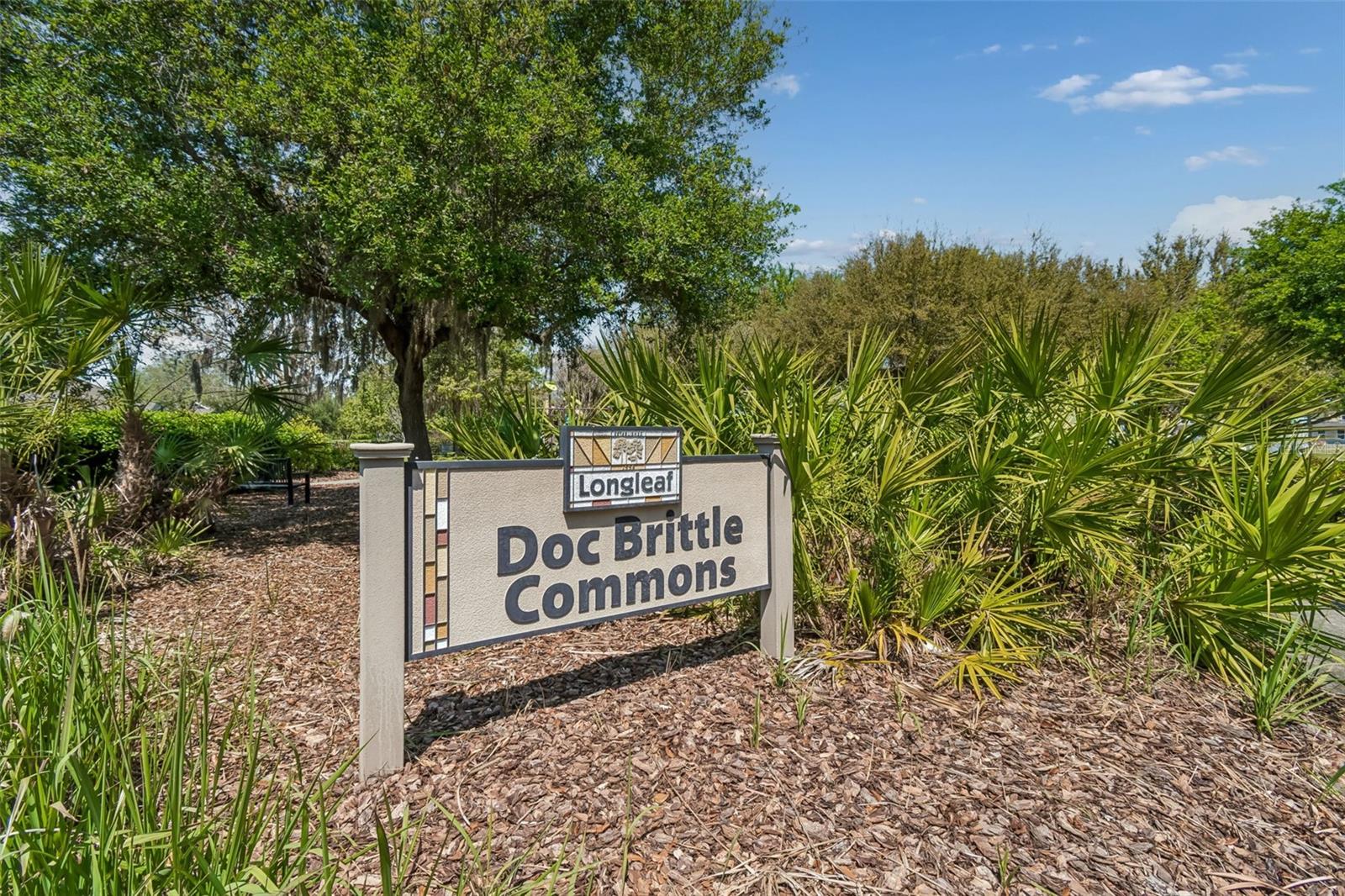 Commons playground across the street