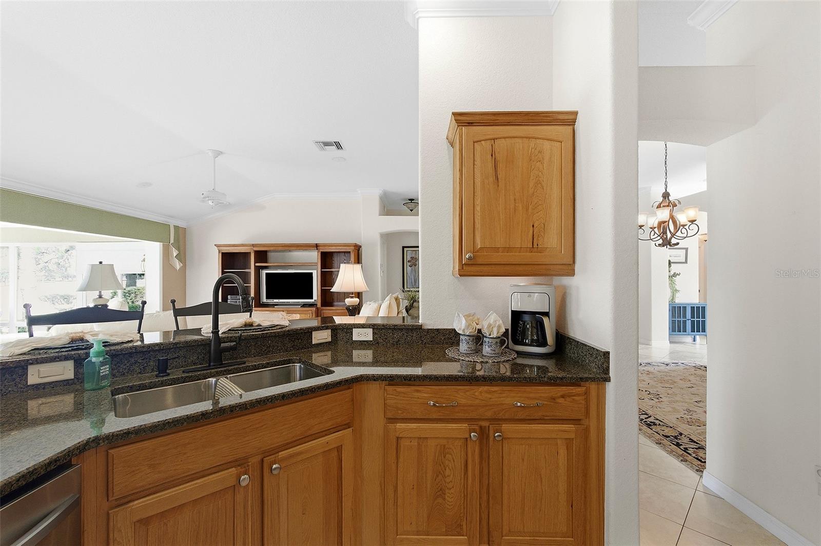 2207 CALLAWAY DR, THE VILLAGES, FL, 32162