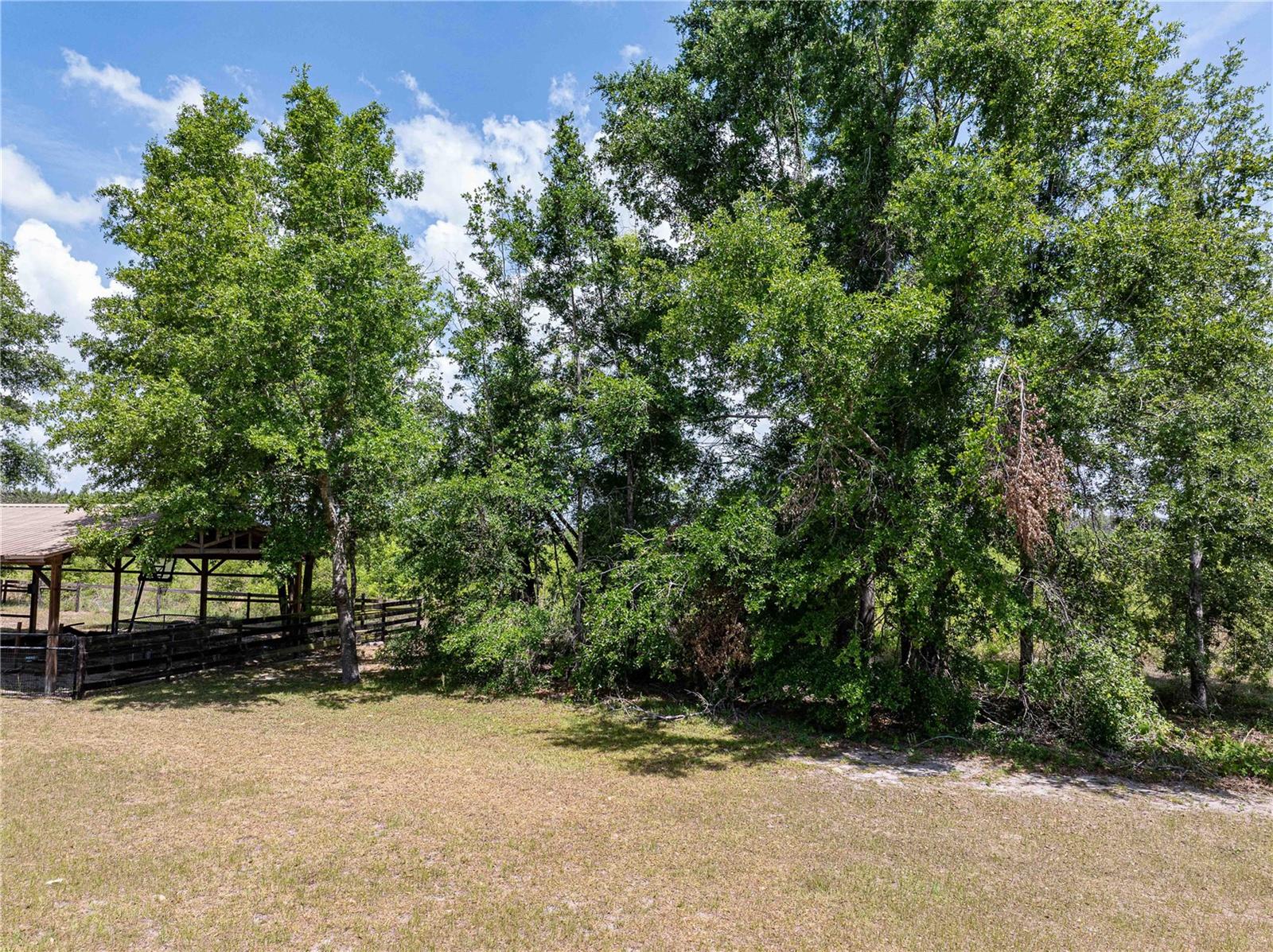 15527 194TH PL, O'BRIEN, FL, 32071