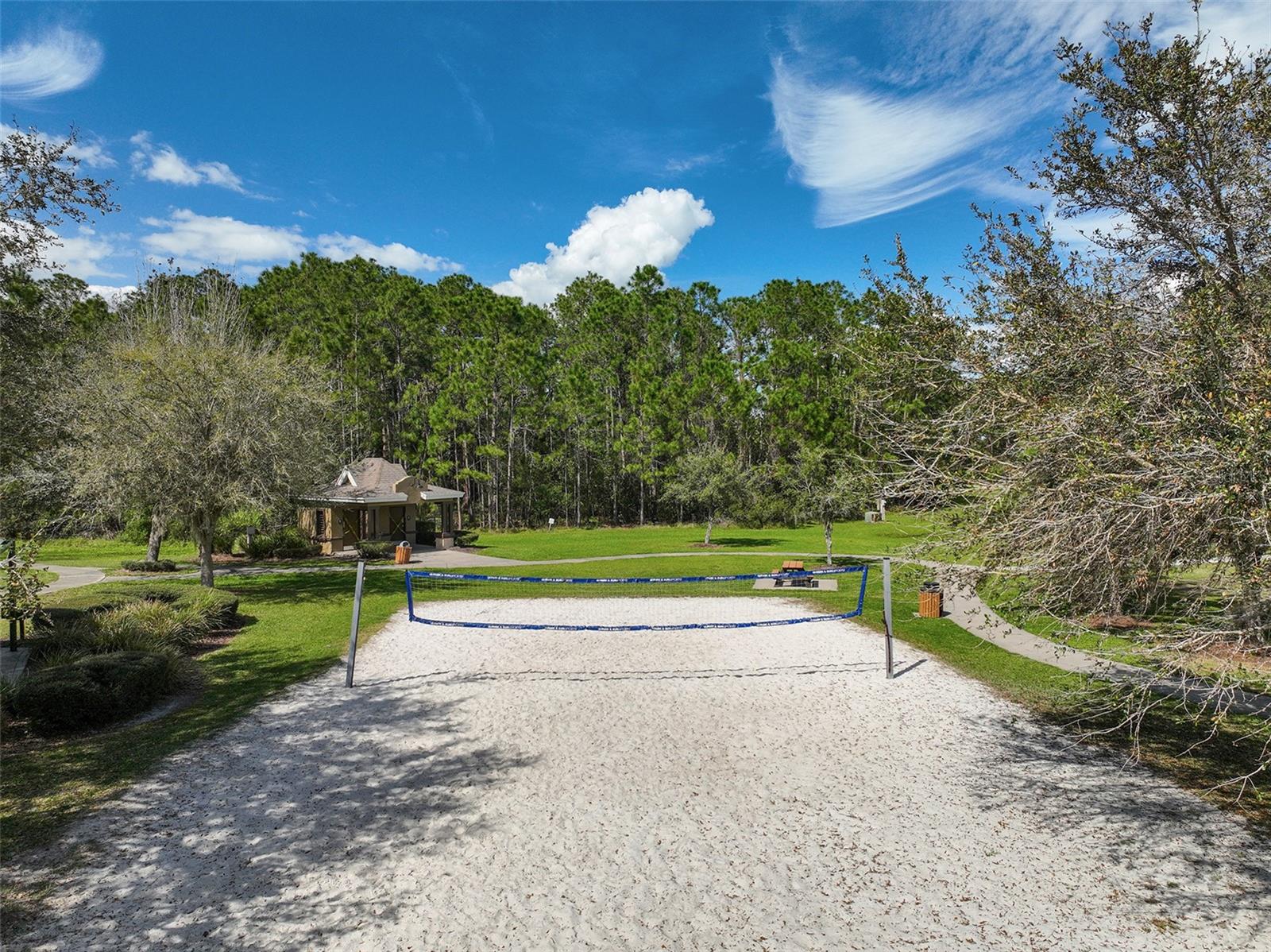 3117 DARK SKY DR, ST CLOUD, FL, 34773