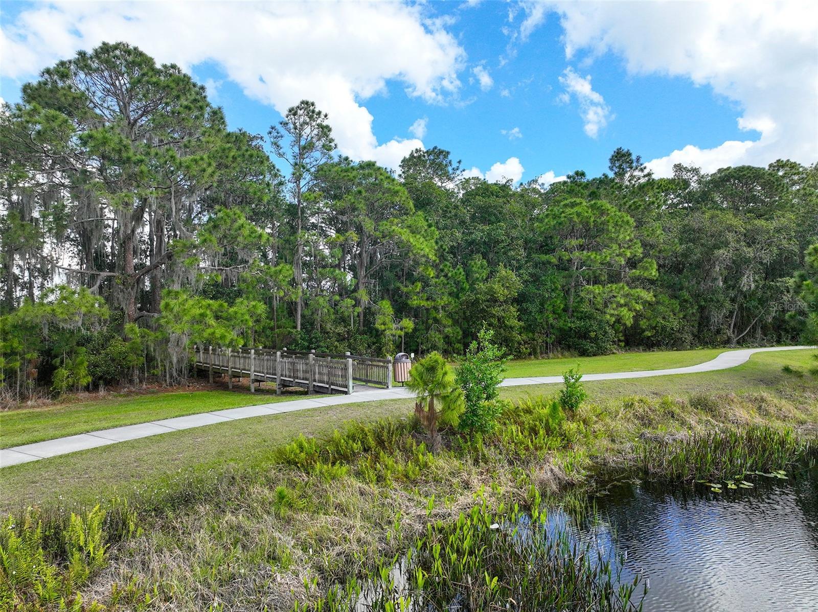 3117 DARK SKY DR, ST CLOUD, FL, 34773