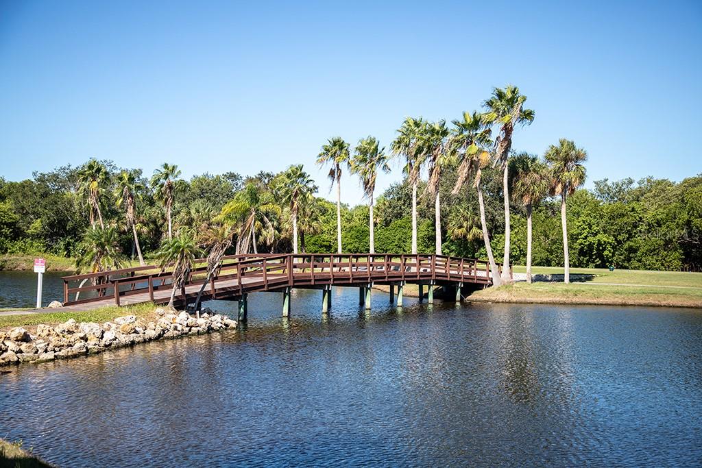 2621 COVE CAY DR #606, CLEARWATER, FL, 33760